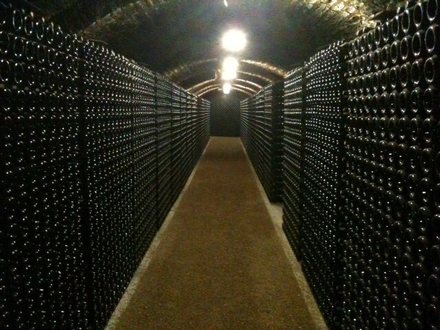 Dekoratives Bild Weinprobe | Flaschenlager